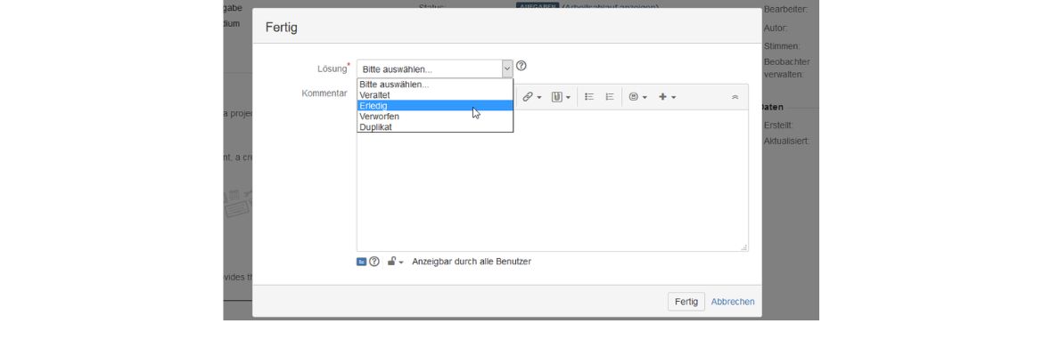 Atlassian JIRA Lösungsfeld_eingeschränkt auf die wichtigen Optionen
